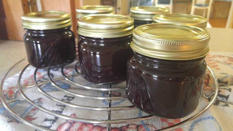 37949228_1146832212121989_4061509555442417664_n