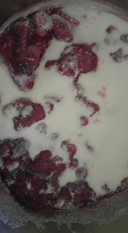 38036816_1146832242121986_766344250051788800_n